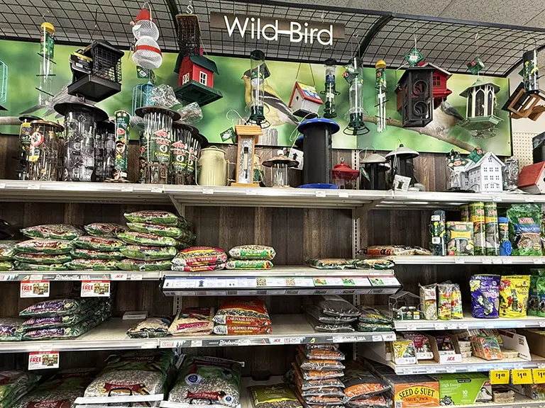 Bird Supplies